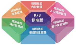 梅州新思維網(wǎng)絡(luò) 賦能企業(yè)數(shù)字化轉(zhuǎn)型的本地化網(wǎng)絡(luò)技術(shù)專家